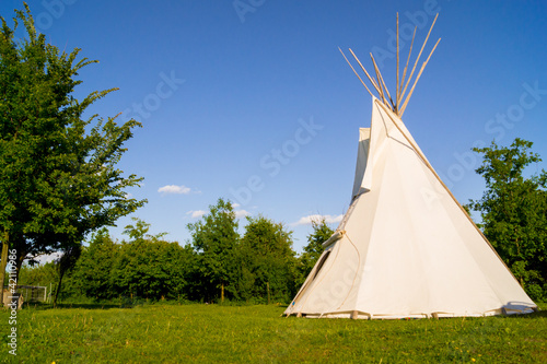 Tipi tree