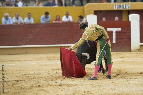 Torero toreando al toro con la muleta.