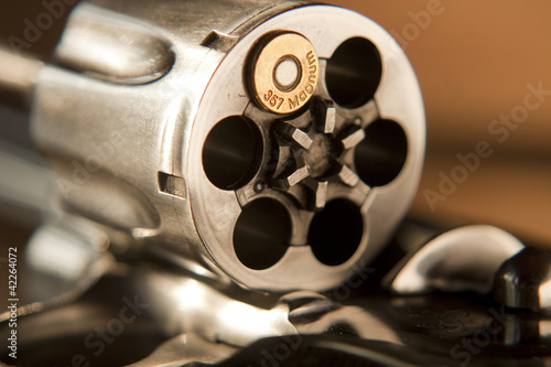 357 Magnum Revolver