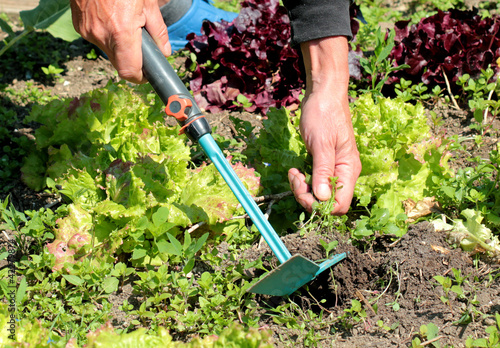 Gartenarbeit