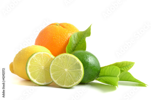 Arrangement mit Zitrusfrüchten, citrus fruits
