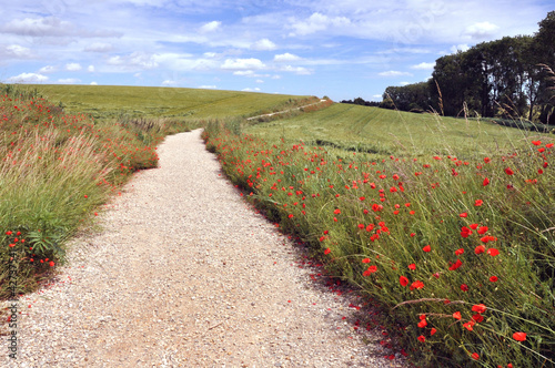 chemin de randonnée