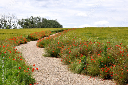 chemin de randonnée