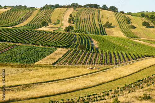 Pannonische Landschaft