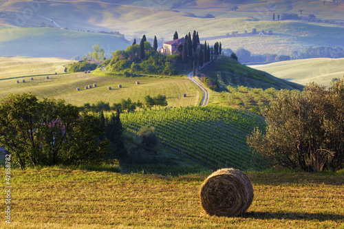 Paesaggio toscano. Podere, campo di grano