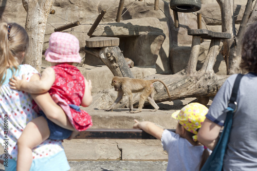 Warsaw zoo tourists and monkey