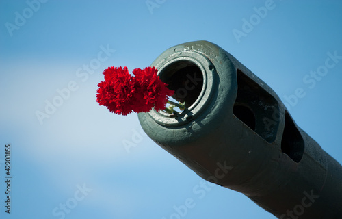 red flowers in tank muzzle