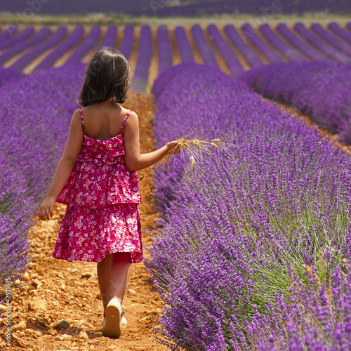 Provence - Enfant dans les champs de lavandes