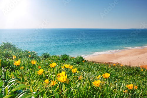 View seascape with yellow flowers and grass. Portugal, Algarve.