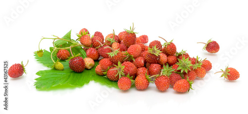 ripe wild strawberry on a white background