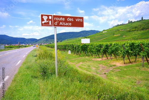 Route des vins d'Alsace.