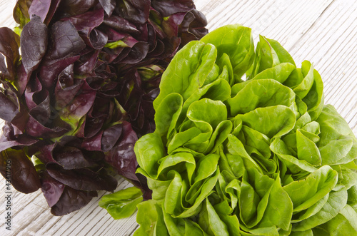 coloured salads mixed