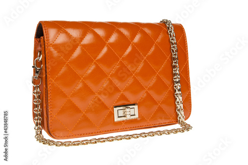 luxury leather female bag isolated on white