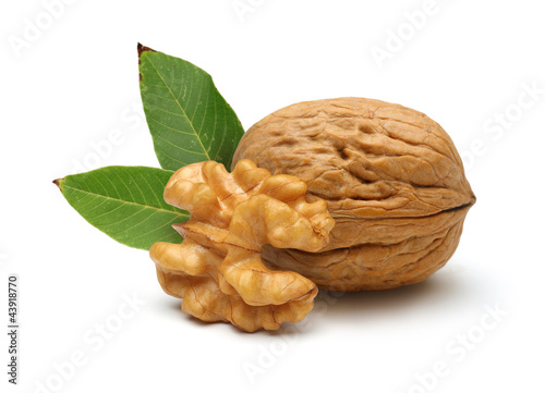 walnut and leaves isolated on white background