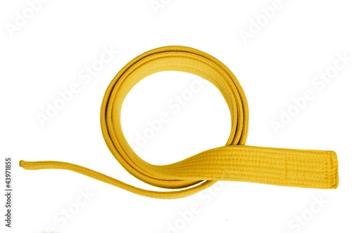 Yellow belt