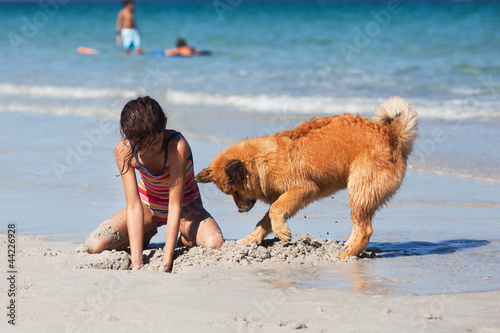 Mädchen und Elowelpe graben am Strand ein Loch