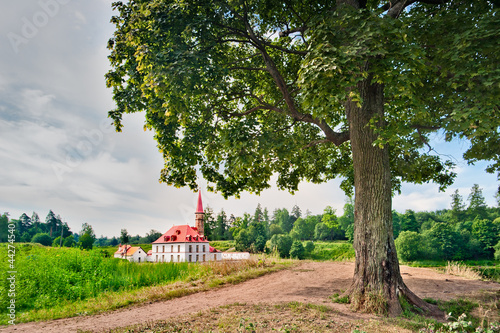 The tree on the background of Priory Palace Gatchina. Russia