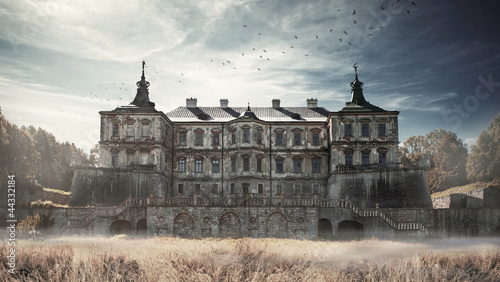 Podgoretsky Castle. Pidhirtsi