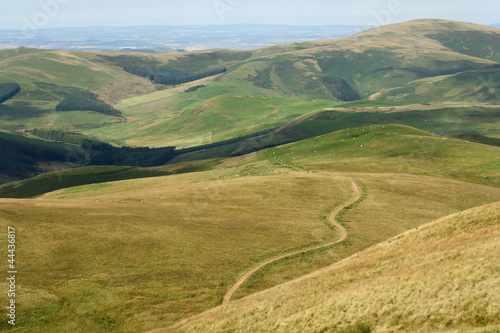 view across Cheviot Hills towards Scotland