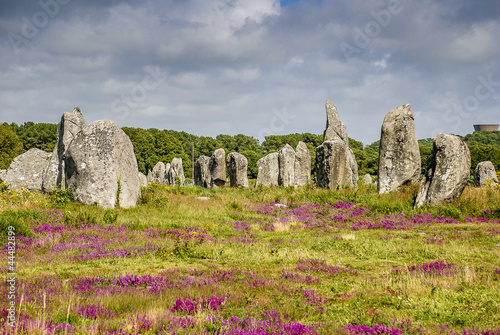 Menhirs de Carnac