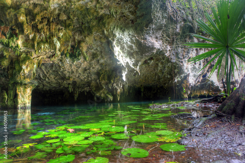 Mexican cenote