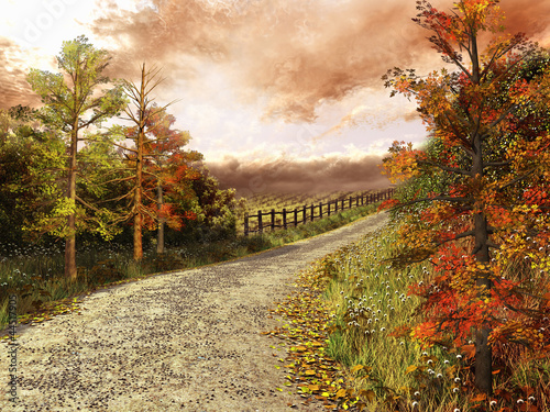 Droga przez las w jesiennych barwach