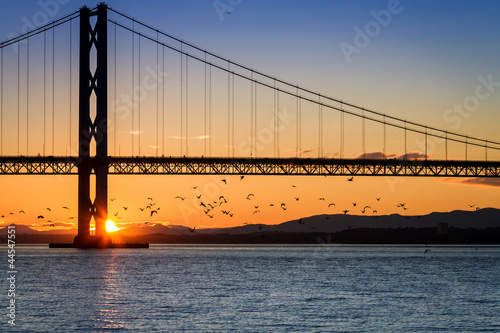 Birds flying over river at sunset