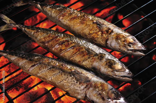 grilled fishs on the grill ,(saba)