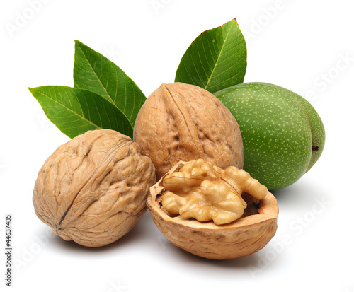 Walnuts and leaves