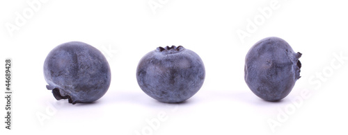 Three blueberries closeup on white background