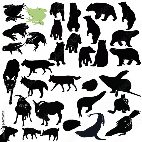 animals bears, seals, frogs, goats, wolves, dogs, Jerzy