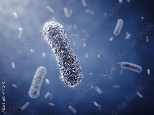 Rod-shaped bacteria ,detailed illustration