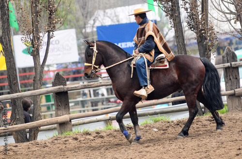 huaso cileno a cavallo