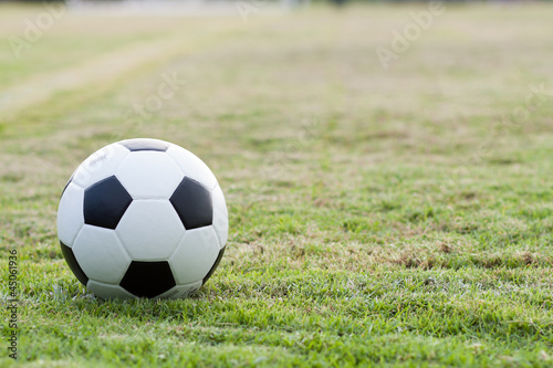 ball in grass.
