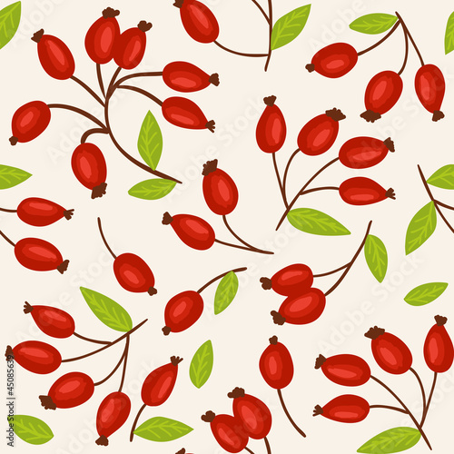 Rosehip seamless background