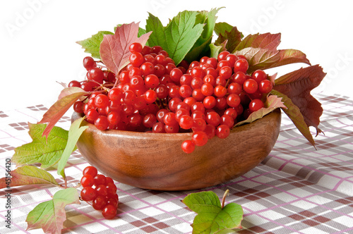 Red berries of viburnum in wooden bowl 