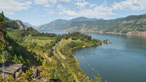 Vineyard & Orchards in Columbia River Gorge
