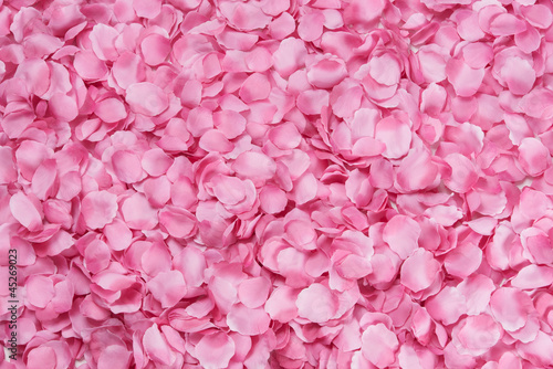 Petali di rosa
