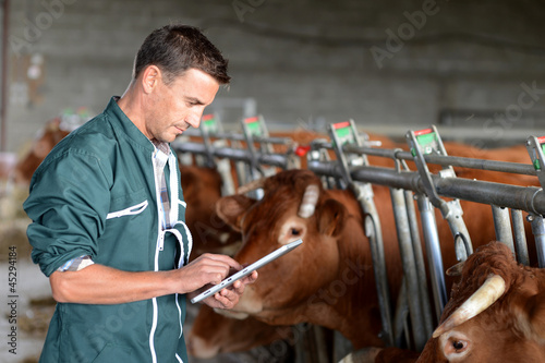 Cow breeder using touchpad inside the barn