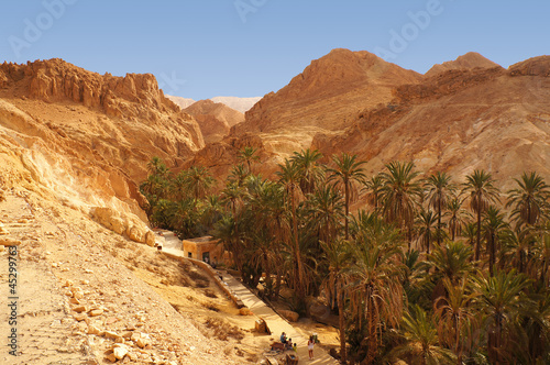 Panoramic view of the Chebika oasis in the desert of Tunisia