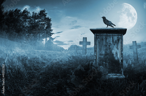 Crow on a gravestone