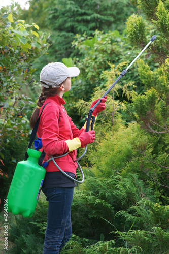 Gardening - spraying plants