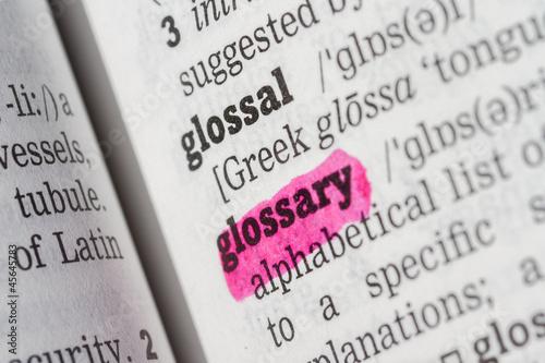 Glossary Dictionary Definition