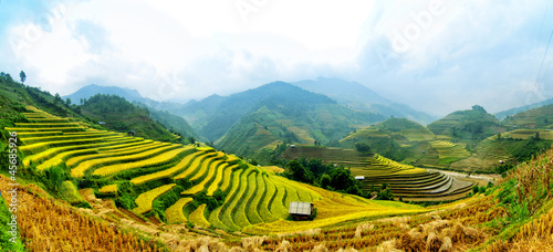 Rice Terraces in Vietnam