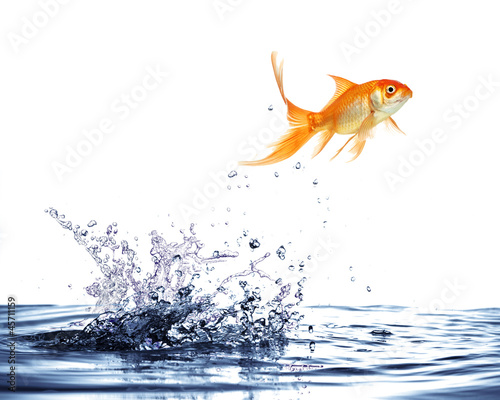 salto del pesce rosso