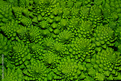 Green cabbage closeup