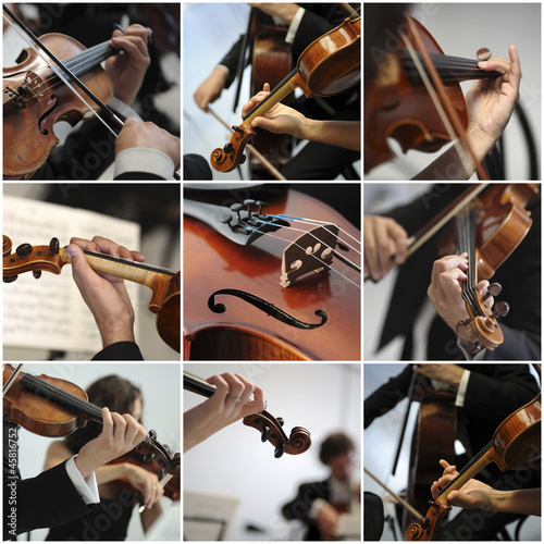 collage Violin detail musicians to play a symphony