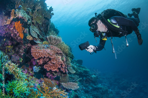 diver with healthy colourful coral