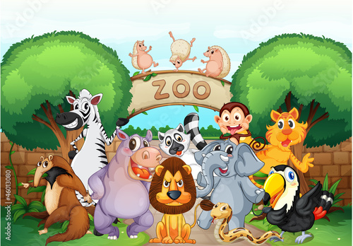 zoo and animals
