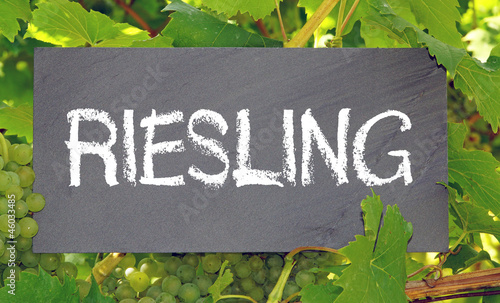 Riesling